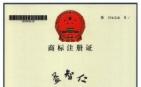 广西强寿药业益智仁商标