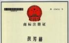 广西强寿药业扶芳藤（5类）商标