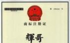 广西强寿药业辉哥商标