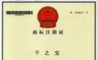 广西强寿药业干之宝商标