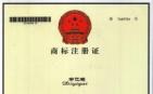 帝亿概